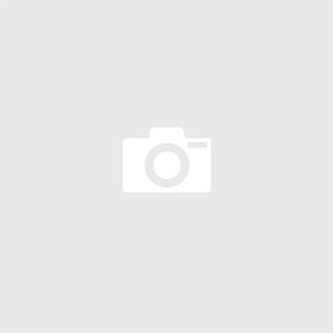 Business Success Strategies - Bronze