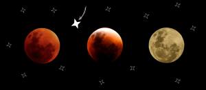 Never mind the Blood Moon did you see the newest STAR® in the sky?