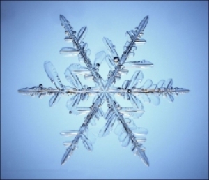 It's Snow Joke