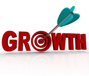 2013: The Year for Business Growth